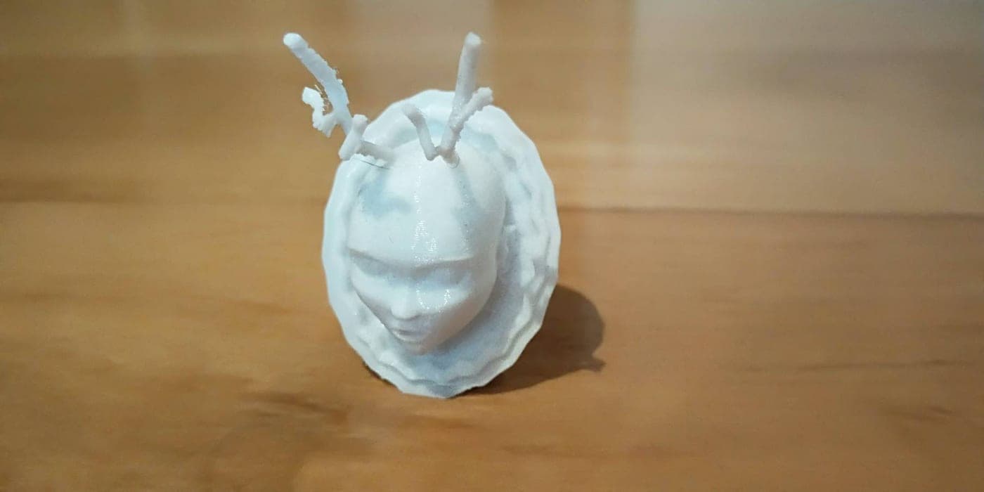 Front view of a white 3D-printed face relief on a wavy-edged oval plaque, with thin branch-like print supports still attached above the forehead.
