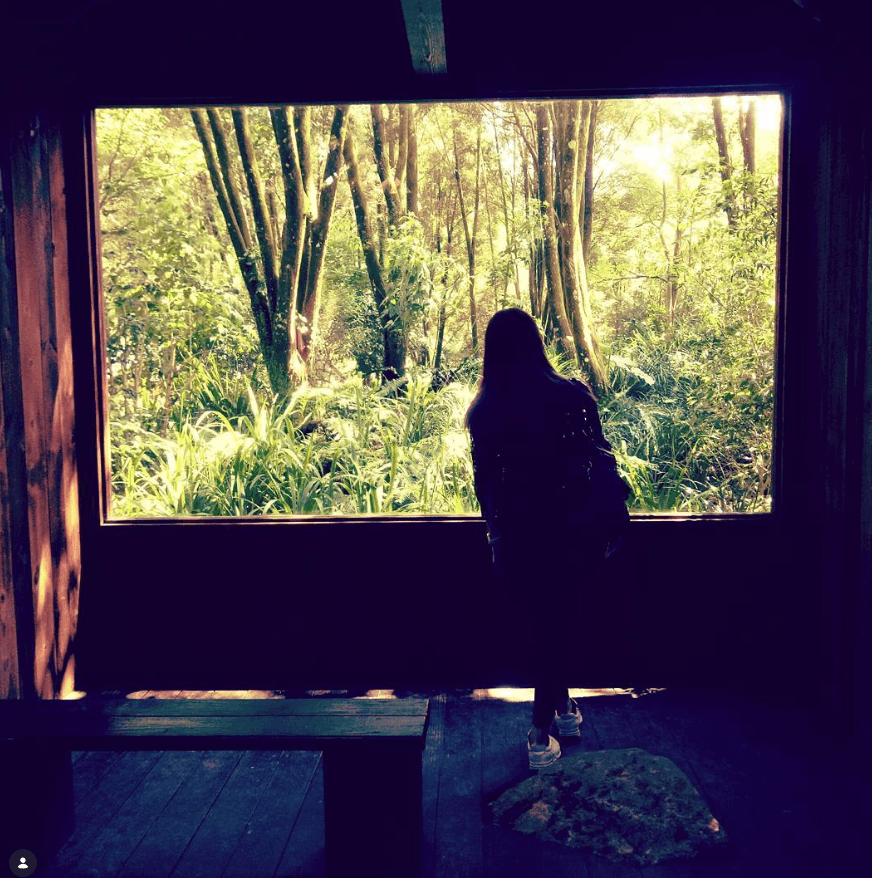Forest observation